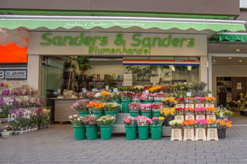 Blumen Sanders - Dortmund - Westenhellweg