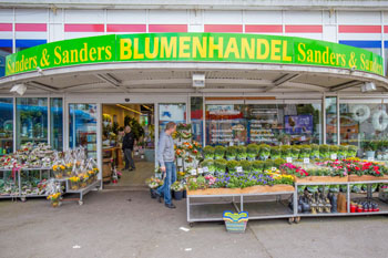 Blumen Sanders - Witten - Ardeystraße